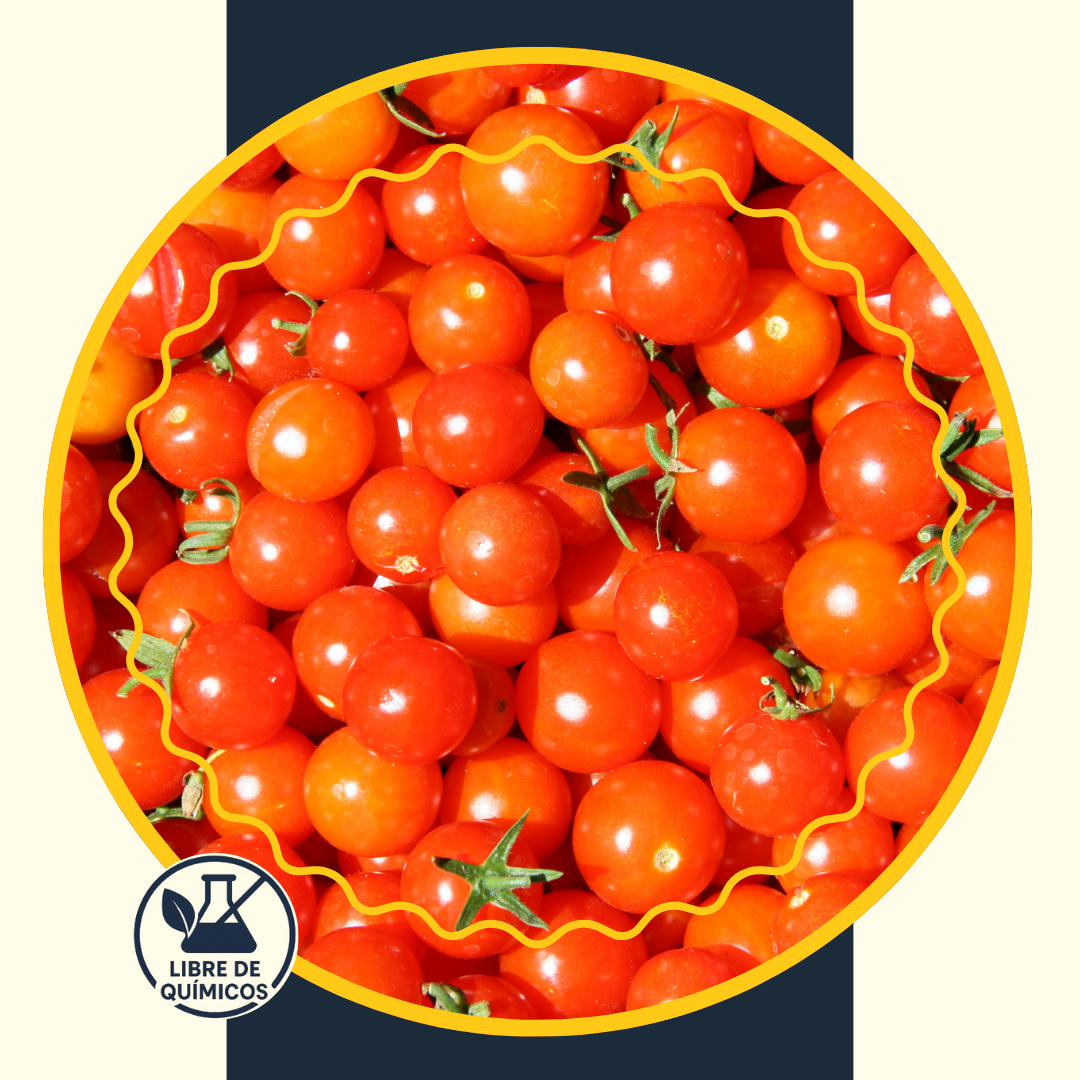 Cherry Tomato 250g
