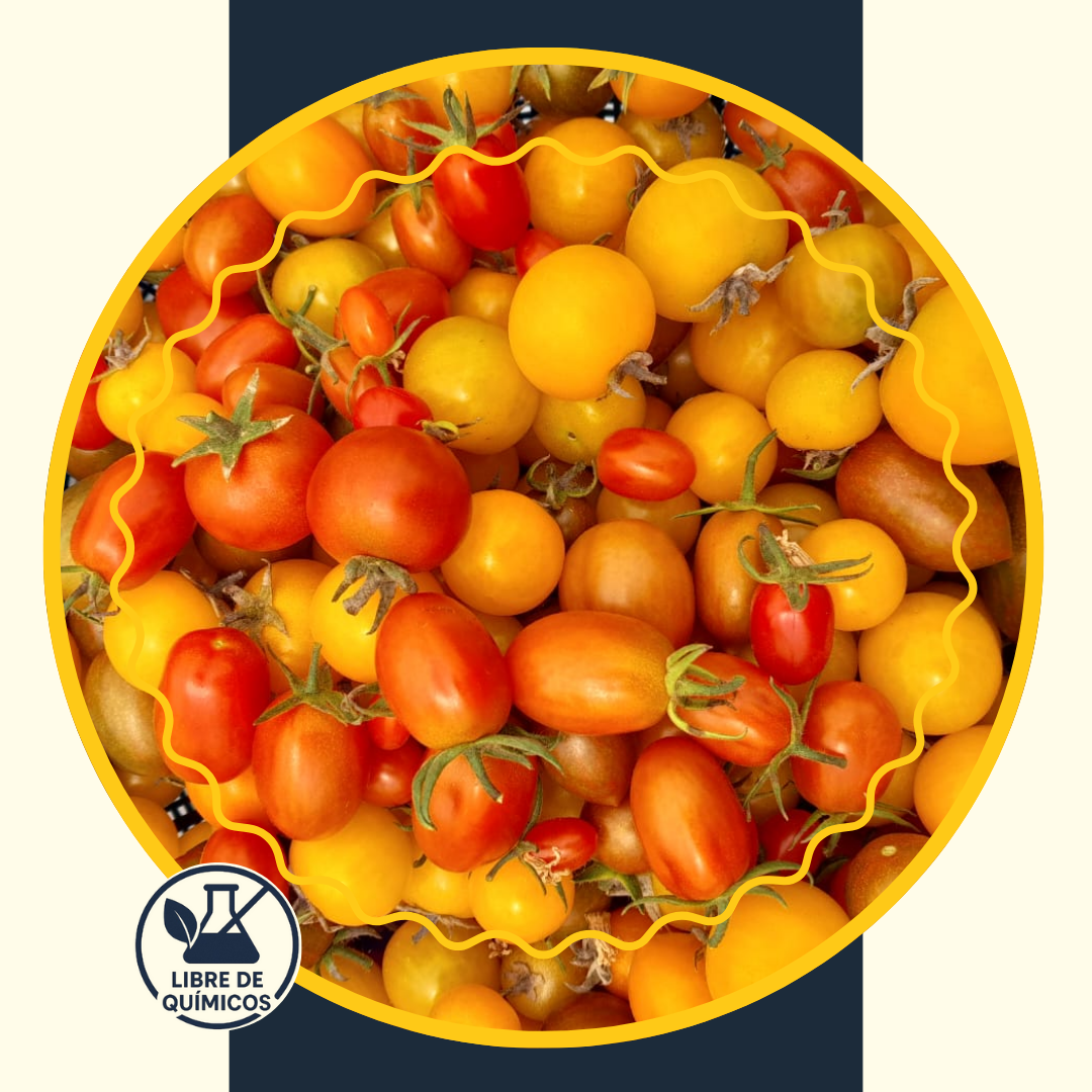 Cherry Tomato Mix 250g